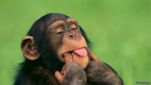 150616190059_chimpanzees_can_laugh_512x288_thinkstock