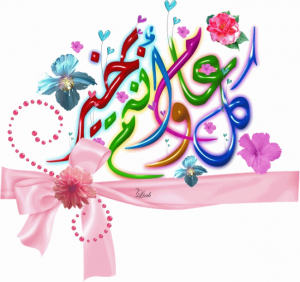 ELSAHEFA-23473-17
