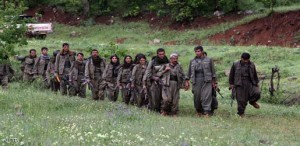 pkk1782013-b