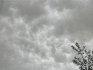 story_img_55e432a1558f6