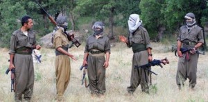 382227_PKK-Turkey-650x3201