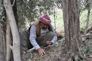 ????????????????????????????????????