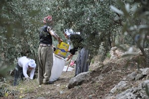 ????????????????????????????????????