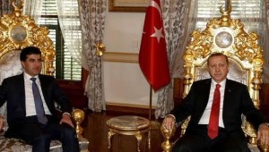 NB_erdoxan__2015_12_26_h19m35s48__SE